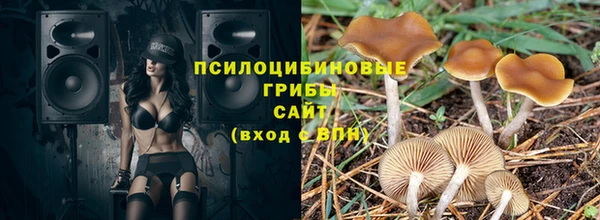 МДПВ Коряжма
