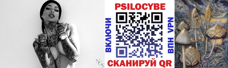 MEGA ТОР  хочу   Ковдор  Псилоцибиновые грибы Cubensis 